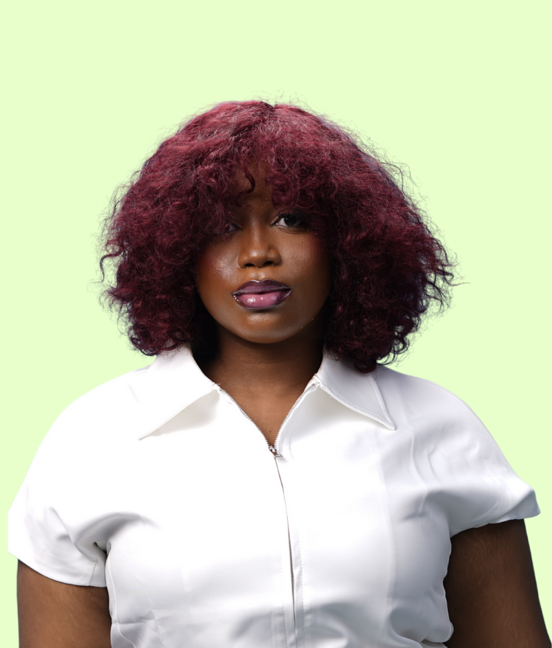 Straight Clip-In Extensions