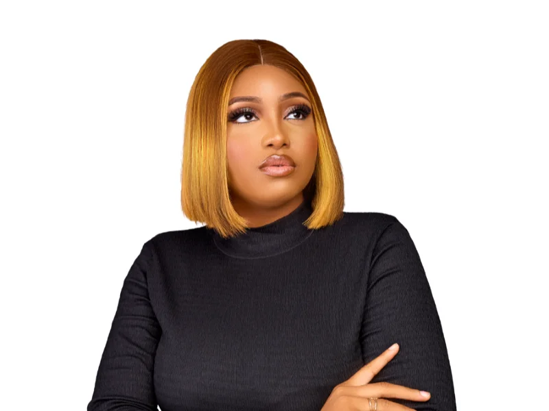 PREMIUM REMY WIGS